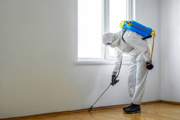 Best Pest Control for Hotels  in Hauppauge, NY